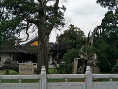 -司徒庙