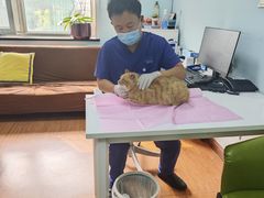 -北京观赏动物医院·24小时大型综合·猫专科·异宠专科