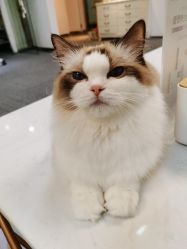 -元一肌肤管理中心