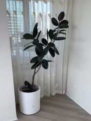 -HEYAN荷妍专业脱毛连锁机构