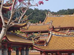 -仙岳公园