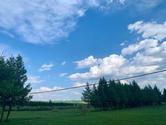 -塞罕坝国家级自然保护区