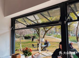 东湖公园|一棵大树下的咖啡馆