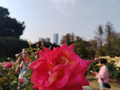 -人民公园(罗湖区)