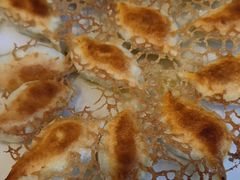 -石老头关东饺子王·东北菜(嘉华鑫城店)