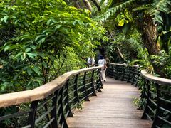 -深圳仙湖植物园
