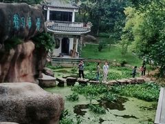 -深圳国际园林花卉博览园