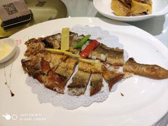 -骏莱海鲜鱼港(五角场店)