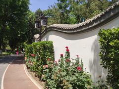 -宣武艺园