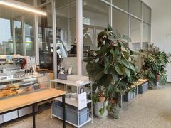 -DEEP COFFEE(瑞光烘焙工厂店)