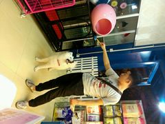 android_upload_pic-小呆的宠物店·宠物售卖·宠物寄养(城西店)