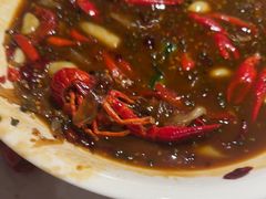 -杨氏青龙虾·羊蝎子(托乐嘉店)