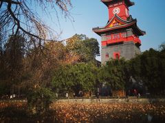 -四川大学(华西校区)