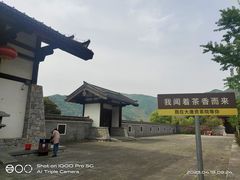-大唐贡茶院