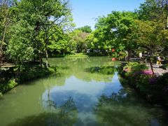 -西溪国家湿地公园