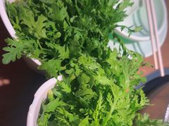 -掂档潮汕牛肉火锅(沈阳万象城店)