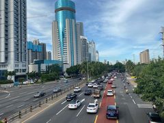 -万绿园