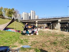 -洨河生态公园