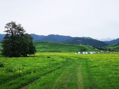 -新疆那拉提国家旅游度假区