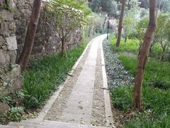 -镇江市南山风景名胜区竹林景区