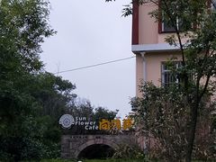 -向日葵咖啡