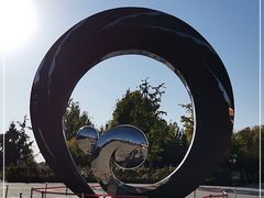 -大兴滨河森林公园