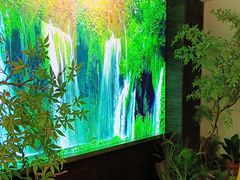 -鸽子侯·家宴·平价海鲜(市图书馆店)