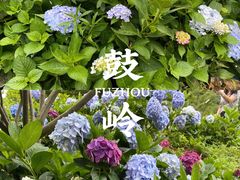 -鼓岭旅游度假区