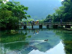 -靖西鹅泉风景区