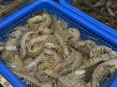 -半岛听涛蒸汽海鲜自助(K11店)