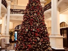 -Salon de Ville浦江汇(上海外滩华尔道夫酒店店)