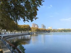-李公堤