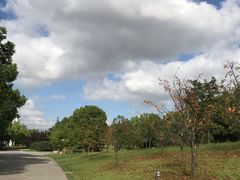 -同济大学(嘉定校区)