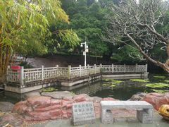 -晓港公园