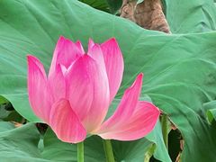 -世纪公园-世纪春沁园