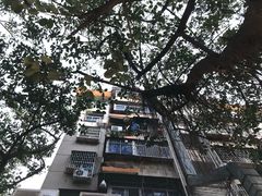 -东山茶寮(新安店)