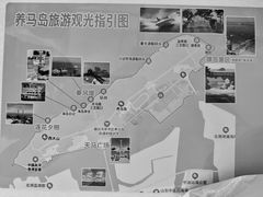 -养马岛旅游度假区