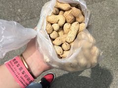 -无锡动物园·太湖欢乐园