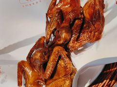 -鸽子侯·家宴·平价海鲜(市图书馆店)