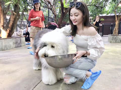 -TrueLove @ Neverland (Husky Cafe)