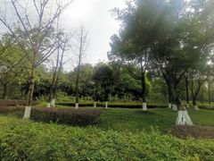 -重庆彩云湖湿地公园