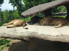 -北京野生动物园