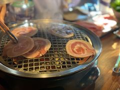 -火烈鸟