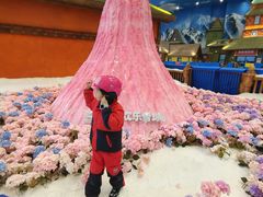 -湘江欢乐城欢乐雪域
