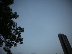 -九龙寨城公园