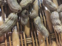 -龙达温泉生态城