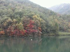 -嘉华国际旅行社有限公司