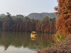 -星湖旅游景区七星岩