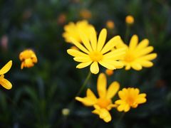 -苏州河梦清园环保主题公园