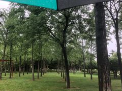 -洨河生态公园